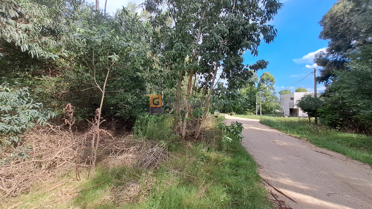 El Tesoro - GoPunta - Portal Inmobiliario de Punta del Este - Maldonado