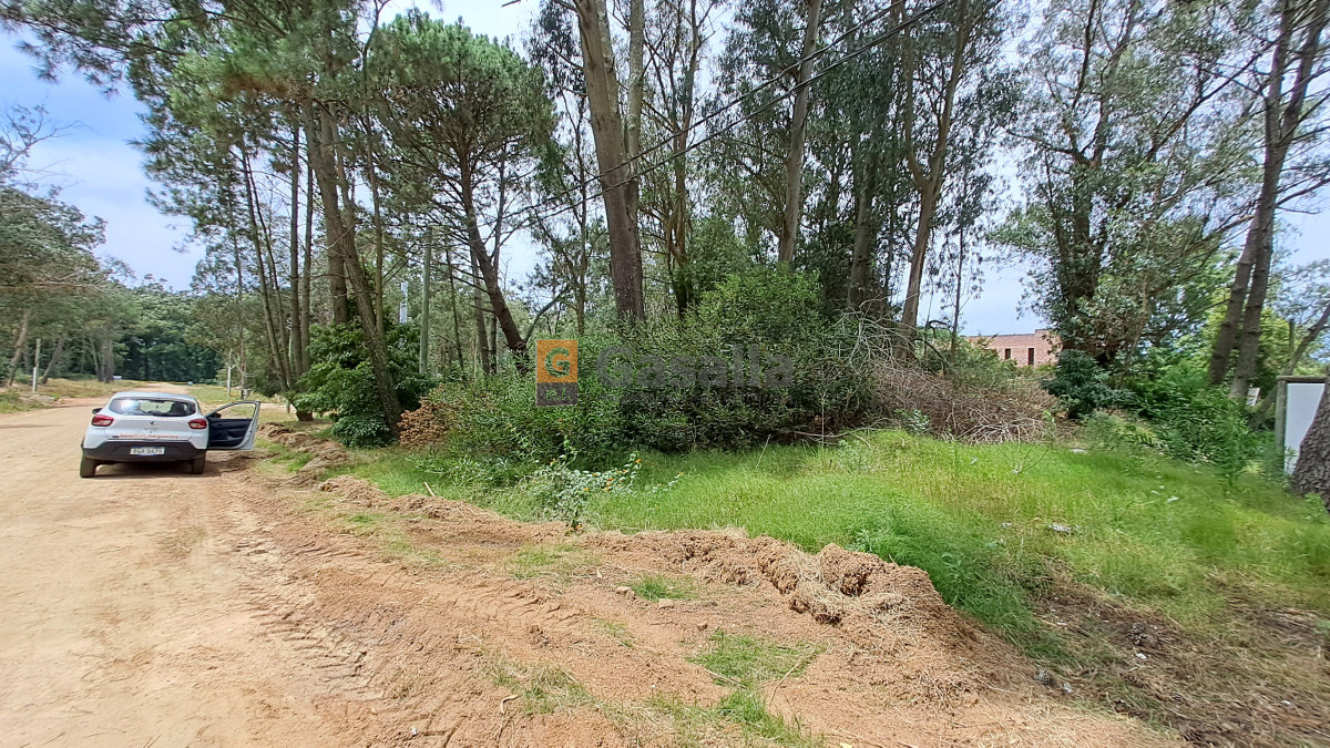 Propiedad - GoPunta - Portal Inmobiliario de Punta del Este - Maldonado