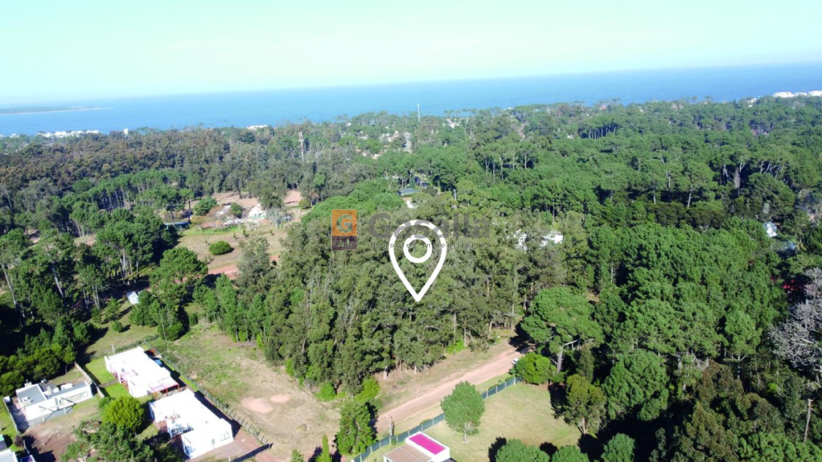 Burnett - GoPunta - Portal Inmobiliario de Punta del Este - Maldonado