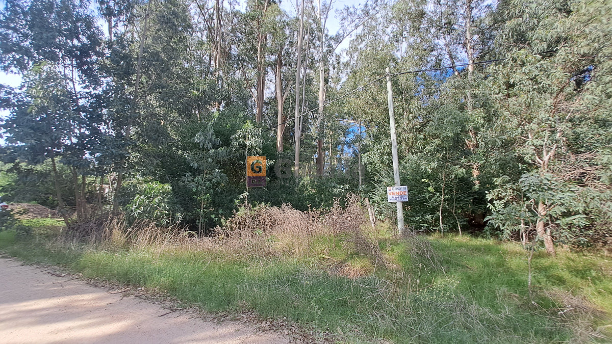 El Tesoro - GoPunta - Portal Inmobiliario de Punta del Este - Maldonado