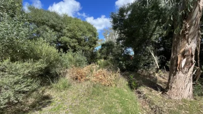 Terreno En Venta - Zona Sauce de Portezuelo Ref. 4479