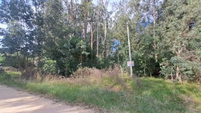 Terreno En Venta - Zona El Tesoro Ref. 7030