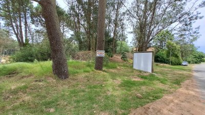 Terreno En Venta en Parque Burnett - Zona Pinares Ref. 6921