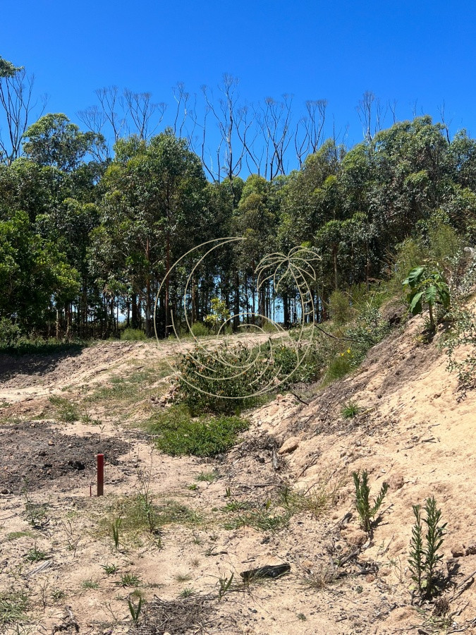 Terreno ID.21092420 - Terreno 932 m2 , en San Vicente - Jose Ignacio