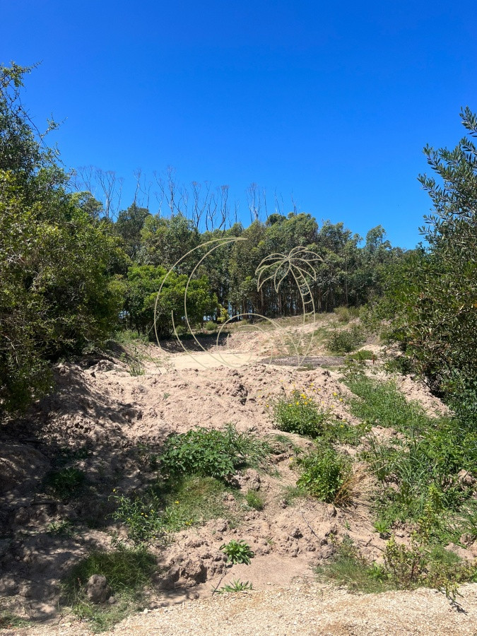 Terreno ID.21092420 - Terreno 932 m2 , en San Vicente - Jose Ignacio