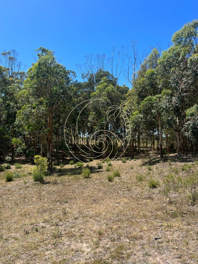 Terreno ID.21092420 - Terreno 932 m2 , en San Vicente - Jose Ignacio