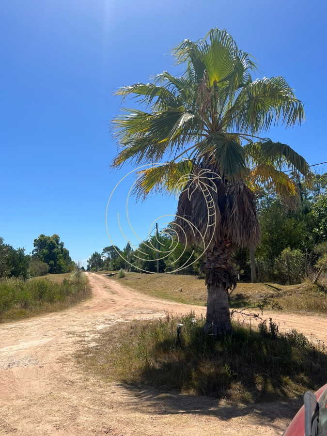 Terreno ID.21092420 - Terreno 932 m2 , en San Vicente - Jose Ignacio