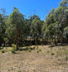 Terreno 932 m2 , en San Vicente - Jose Ignacio