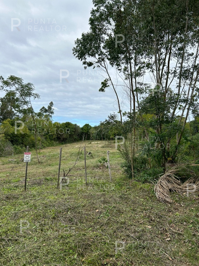 Terreno ID.1764 - Punta Ballena hermoso terreno de 1700m2  ideal para residencia permanente en zona residencial.
