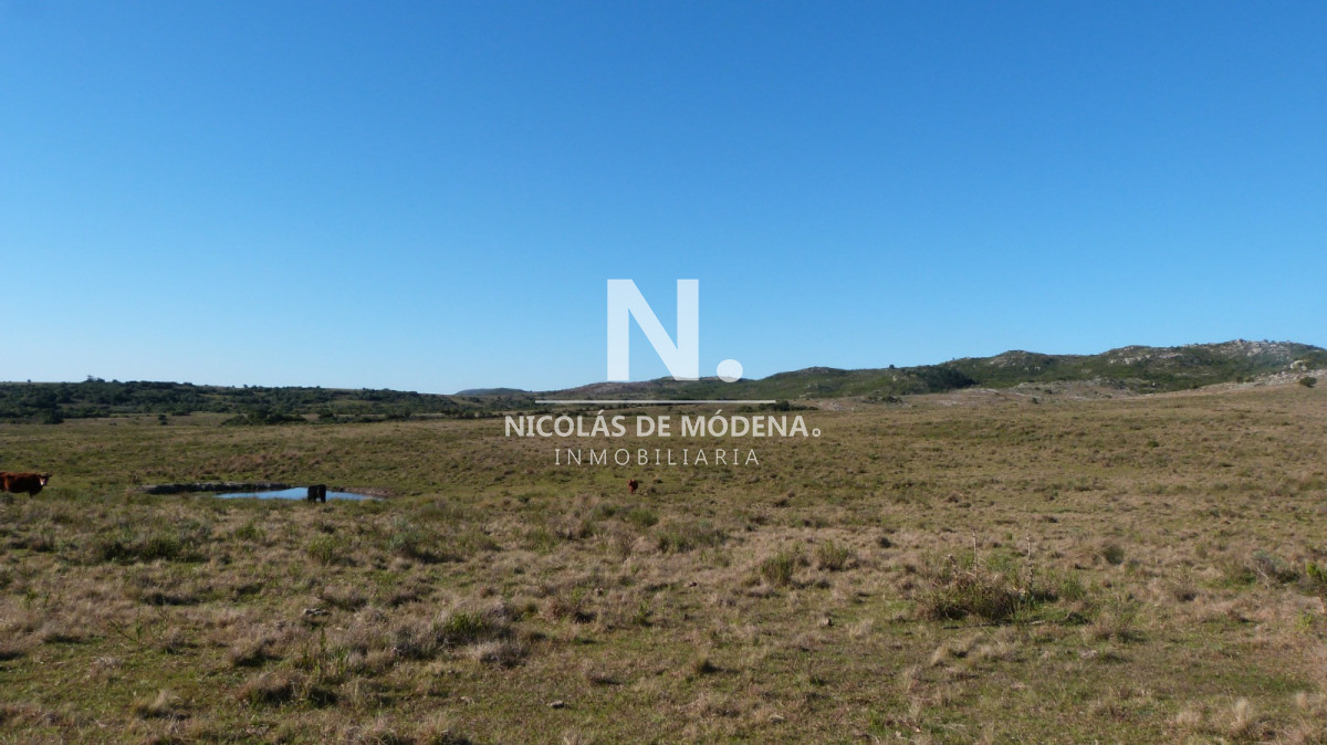 Campo