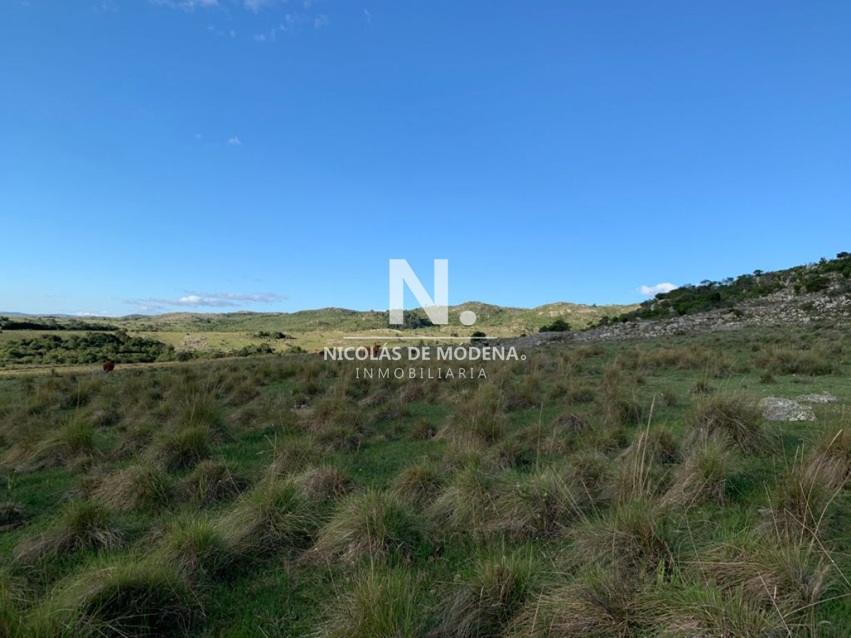 Campo