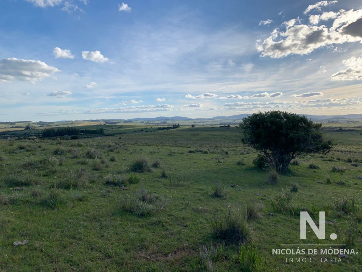 CAMPO INDICE DE PRODUCTIVIDAD 46 SON 80 HECTAREAS. - GoPunta - Portal Inmobiliario de Punta del Este - Maldonado