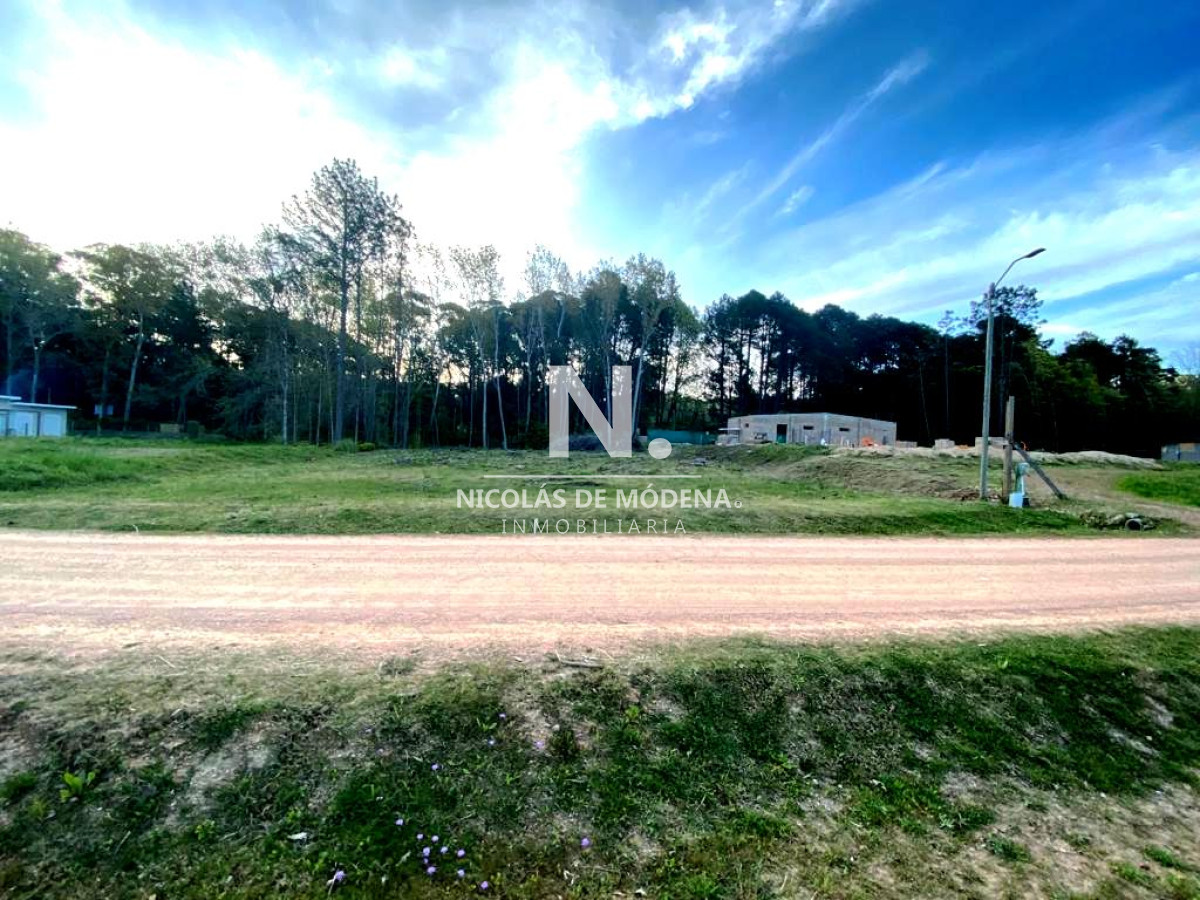 Terreno