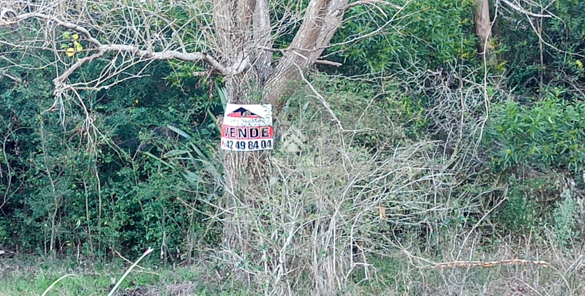 Terreno ID.2550 - VENTA SOLAR EN LA BOTA.MANANTIALES DE 480 M2