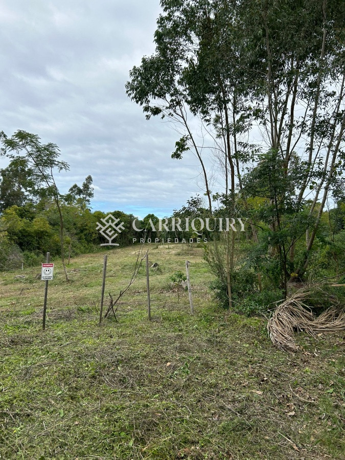 Punta Ballena hermoso terreno de 1700m2  ideal para residencia permanente en zona residencial. - GoPunta - Portal Inmobiliario de Punta del Este - Maldonado