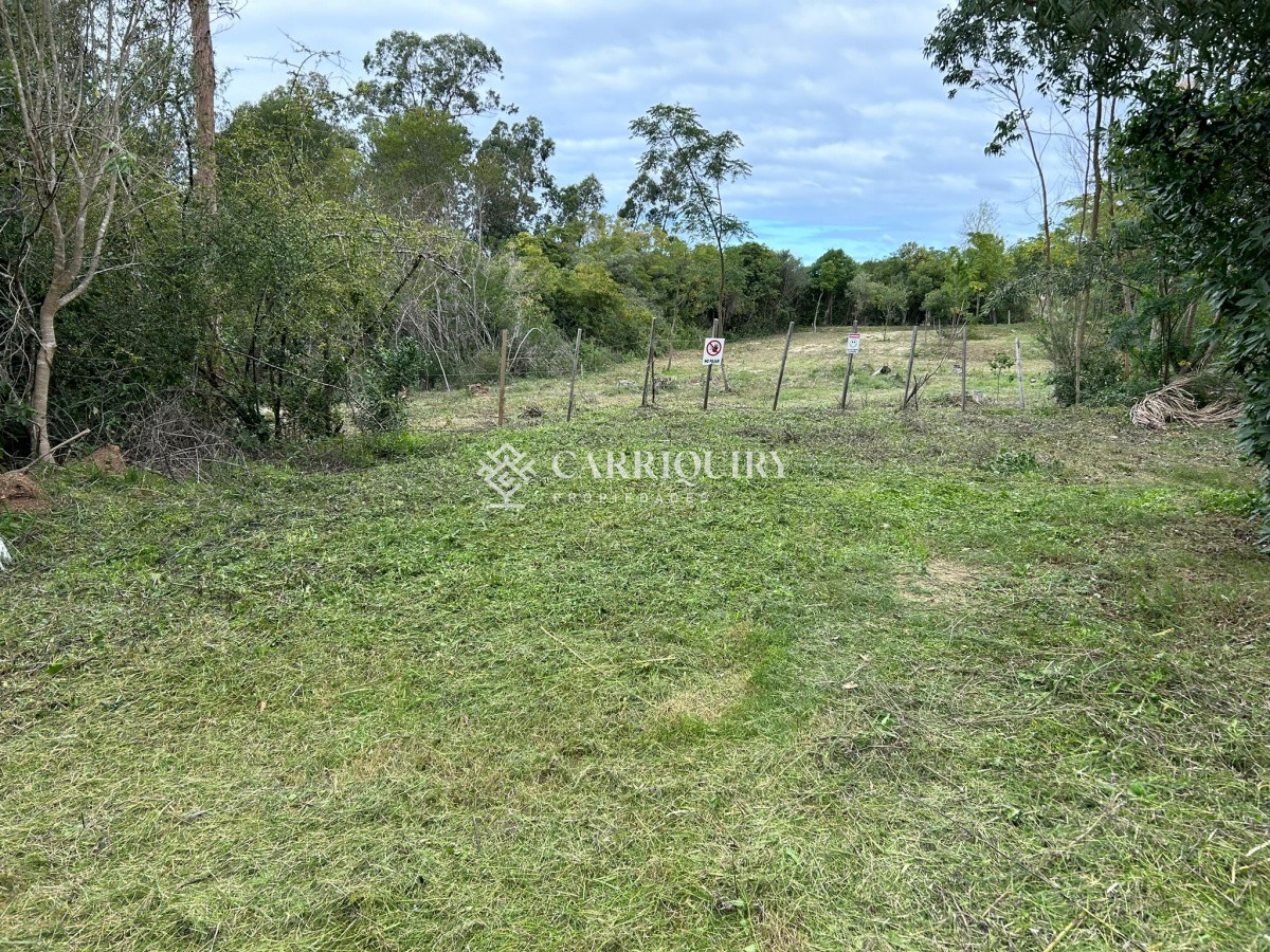 Punta Ballena hermoso terreno de 1700m2  ideal para residencia permanente en zona residencial. - GoPunta - Portal Inmobiliario de Punta del Este - Maldonado