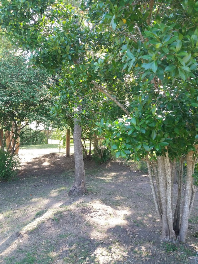 Terreno ID.73 - BALNEARIO SOLIS HERMOSO TERRENO DE 910 M2 TODO PARQUIZADO