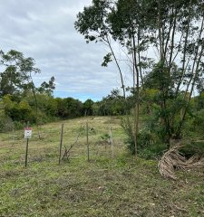 Venta de terreno de 1700 m2 en Punta Ballena Maldonado Uruguay