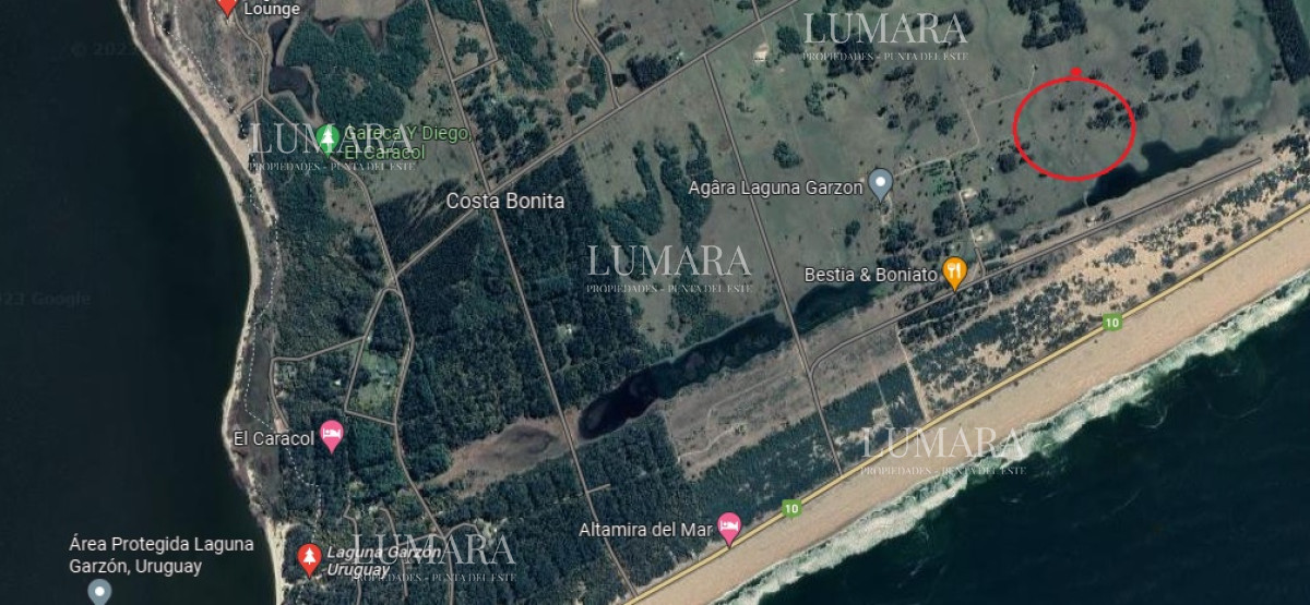 Terreno ID.3274 - LAGUNA GARZON A 5 KM.DEL PUENTE