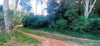 TERRENO EN PUNTA BALLENA ZONA RESIDENCIAL