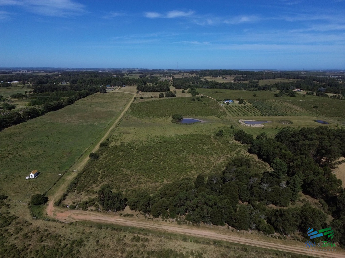 Chacra ID.4588 - Chacra 10 has en Venta en Lapataia