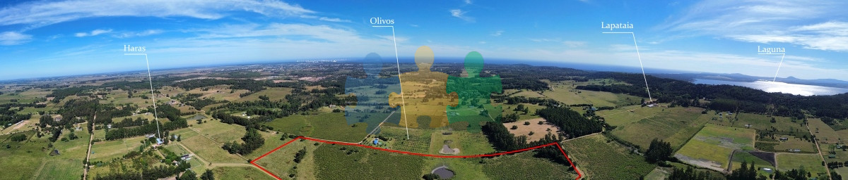 La Pataia - GoPunta - Portal Inmobiliario de Punta del Este - Maldonado