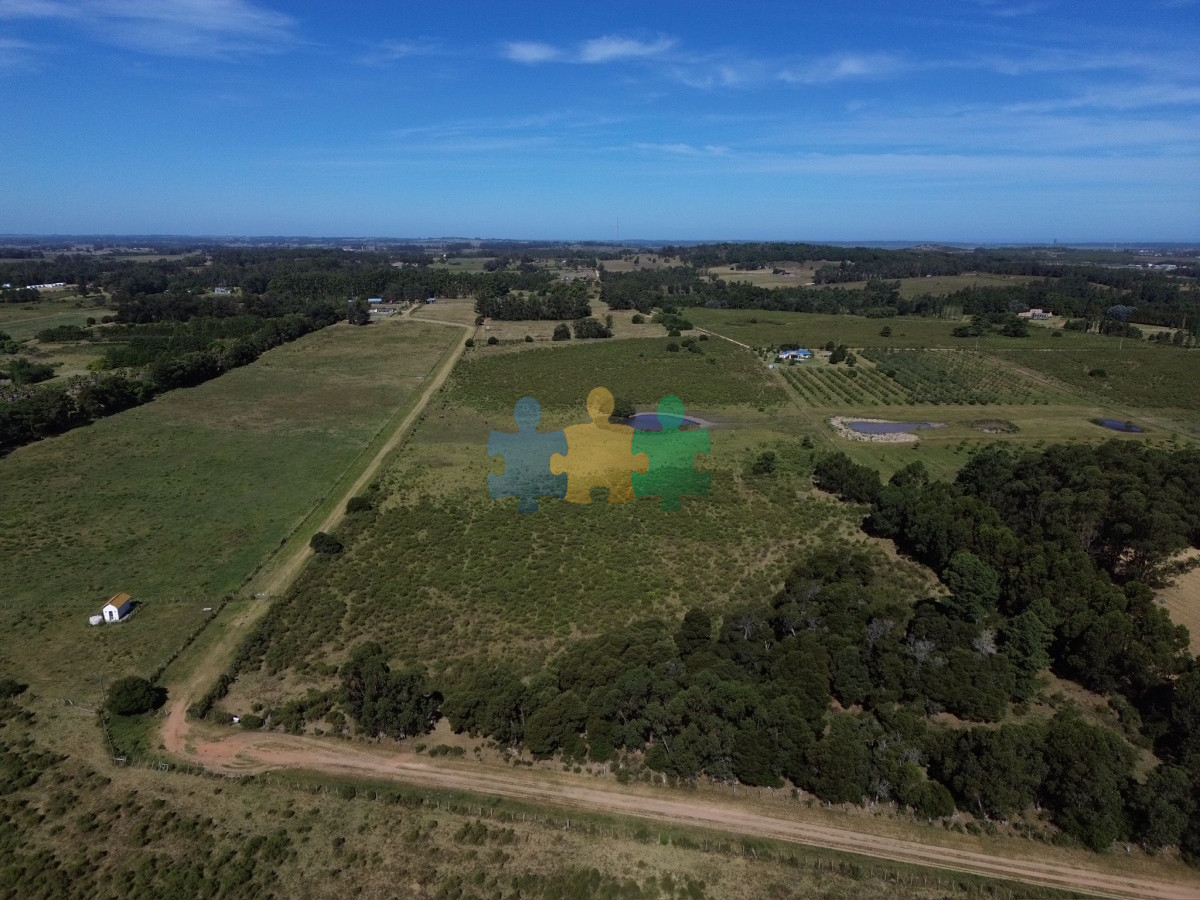 La Pataia - GoPunta - Portal Inmobiliario de Punta del Este - Maldonado