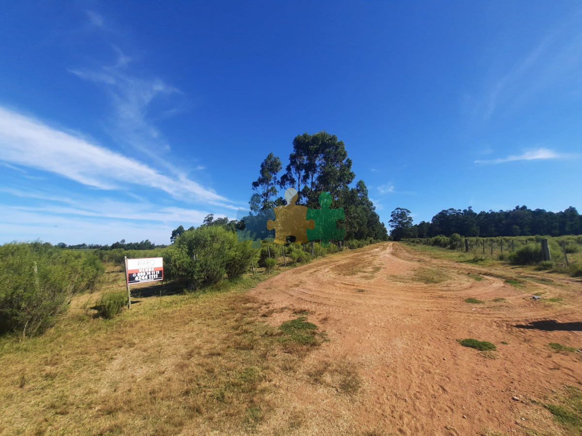 La Pataia - GoPunta - Portal Inmobiliario de Punta del Este - Maldonado