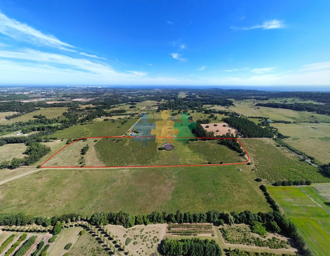 La Pataia - GoPunta - Portal Inmobiliario de Punta del Este - Maldonado