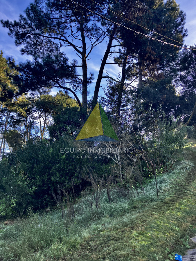 Pinares - GoPunta - Portal Inmobiliario de Punta del Este - Maldonado