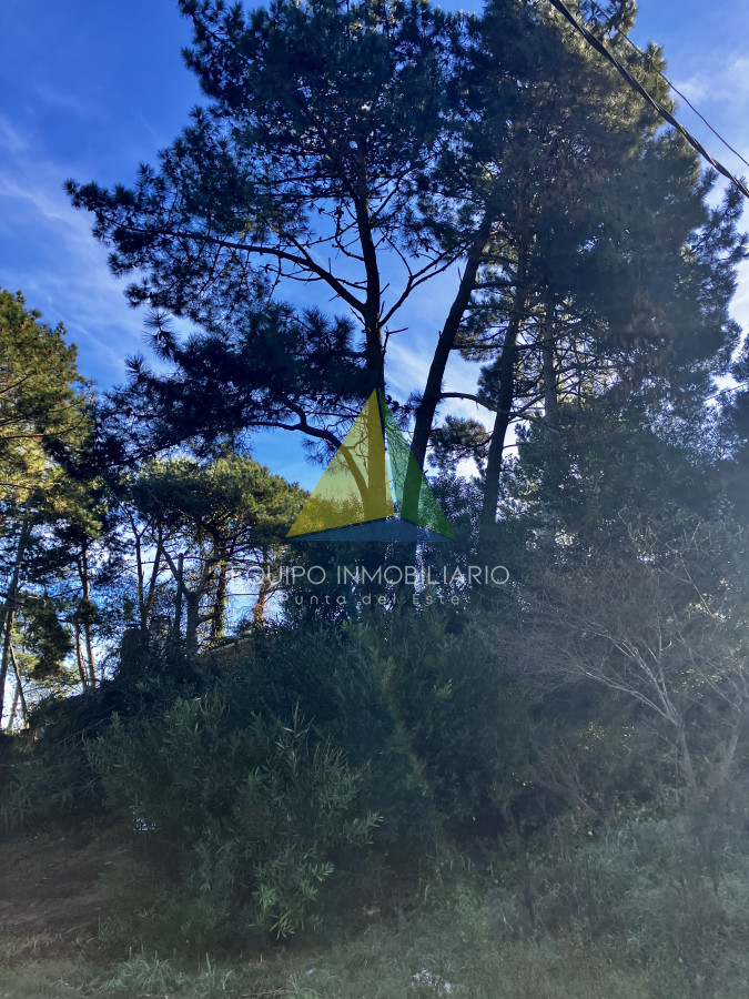 Pinares - GoPunta - Portal Inmobiliario de Punta del Este - Maldonado