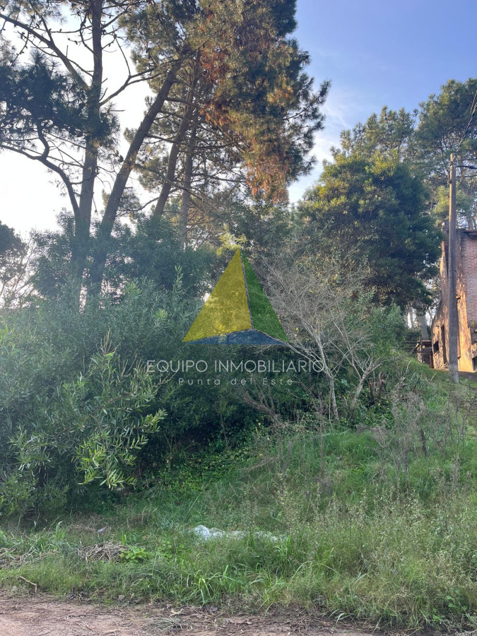Pinares - GoPunta - Portal Inmobiliario de Punta del Este - Maldonado