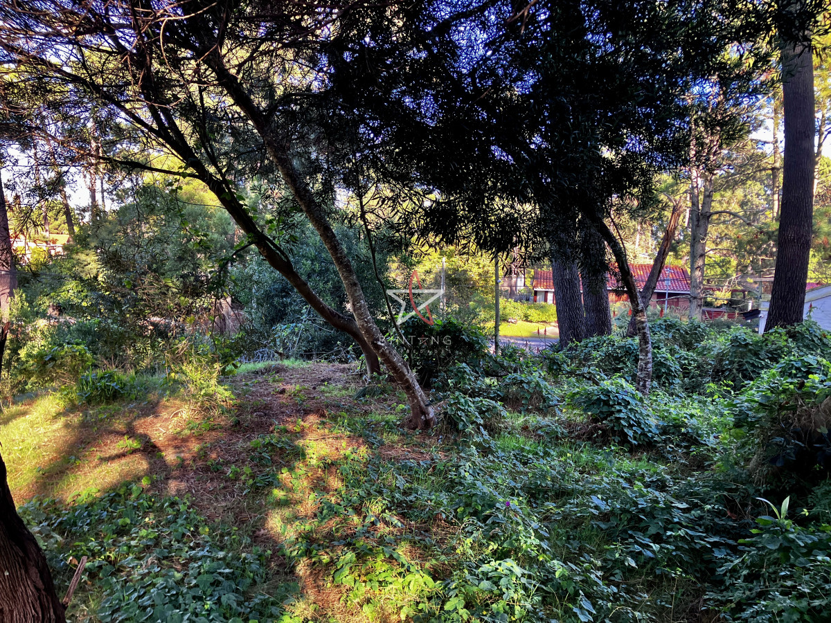 Pinares - GoPunta - Portal Inmobiliario de Punta del Este - Maldonado