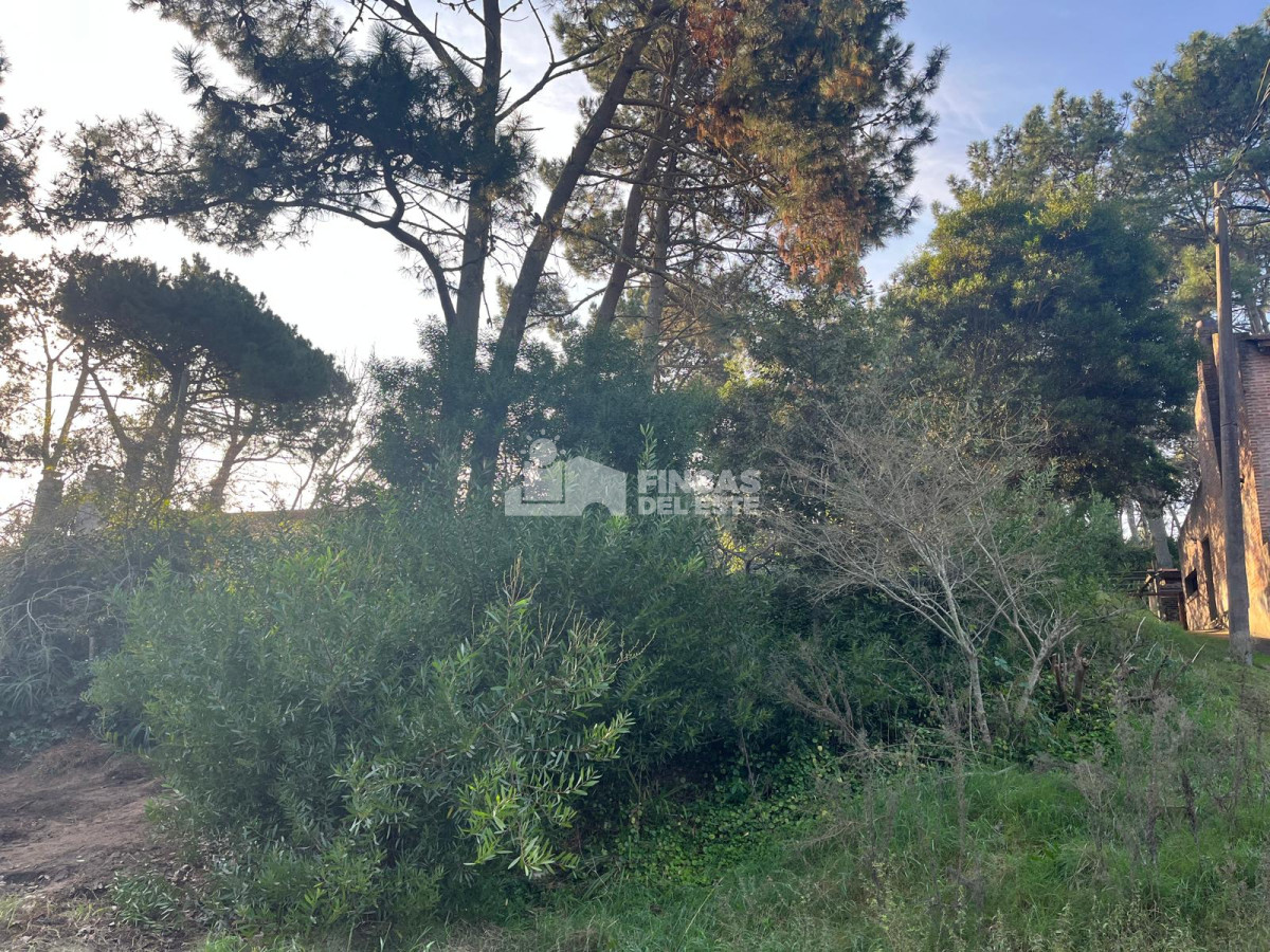 Lindo lote en venta en Pinares apto para Propiedad Horizontal - FDE2569T