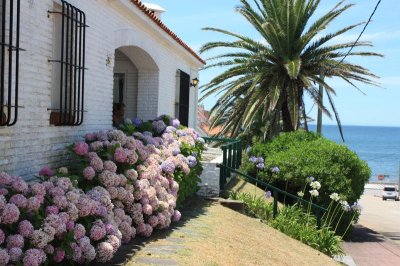 Zona Faro con vista franca al mar. Producto exclusivo Punta del Este