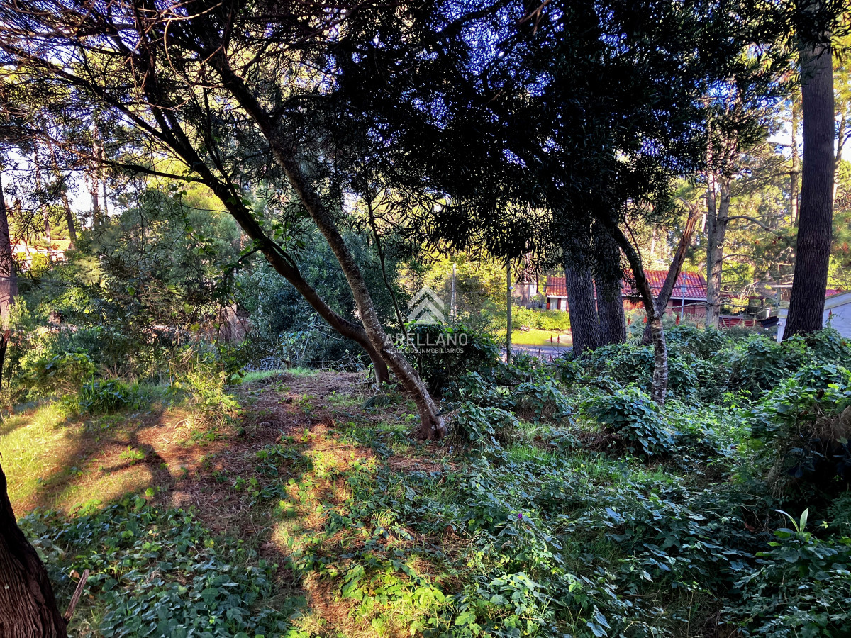 Terreno ID.5615 - Lindo lote en venta en Pinares apto para Propiedad Horizontal