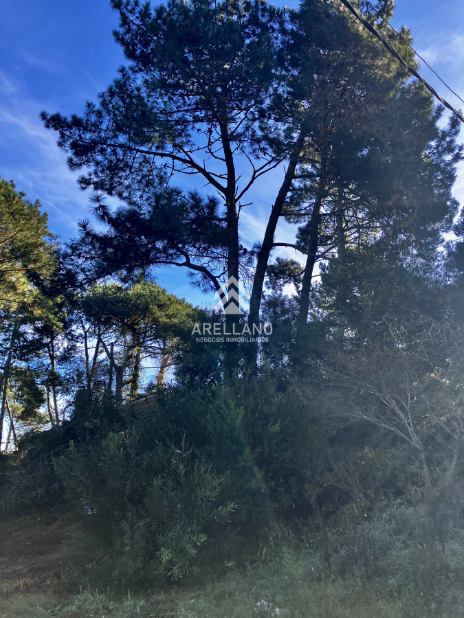 Terreno ID.5615 - Lindo lote en venta en Pinares apto para Propiedad Horizontal