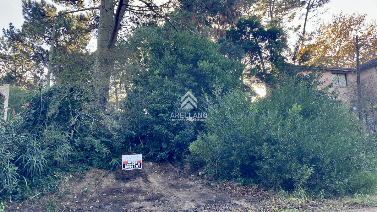 Terreno ID.5615 - Lindo lote en venta en Pinares apto para Propiedad Horizontal