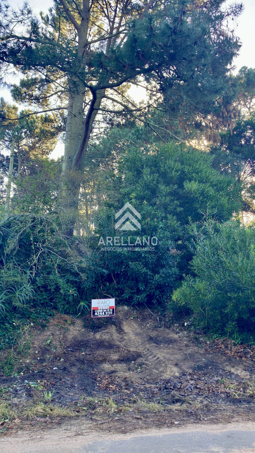 Terreno ID.5615 - Lindo lote en venta en Pinares apto para Propiedad Horizontal