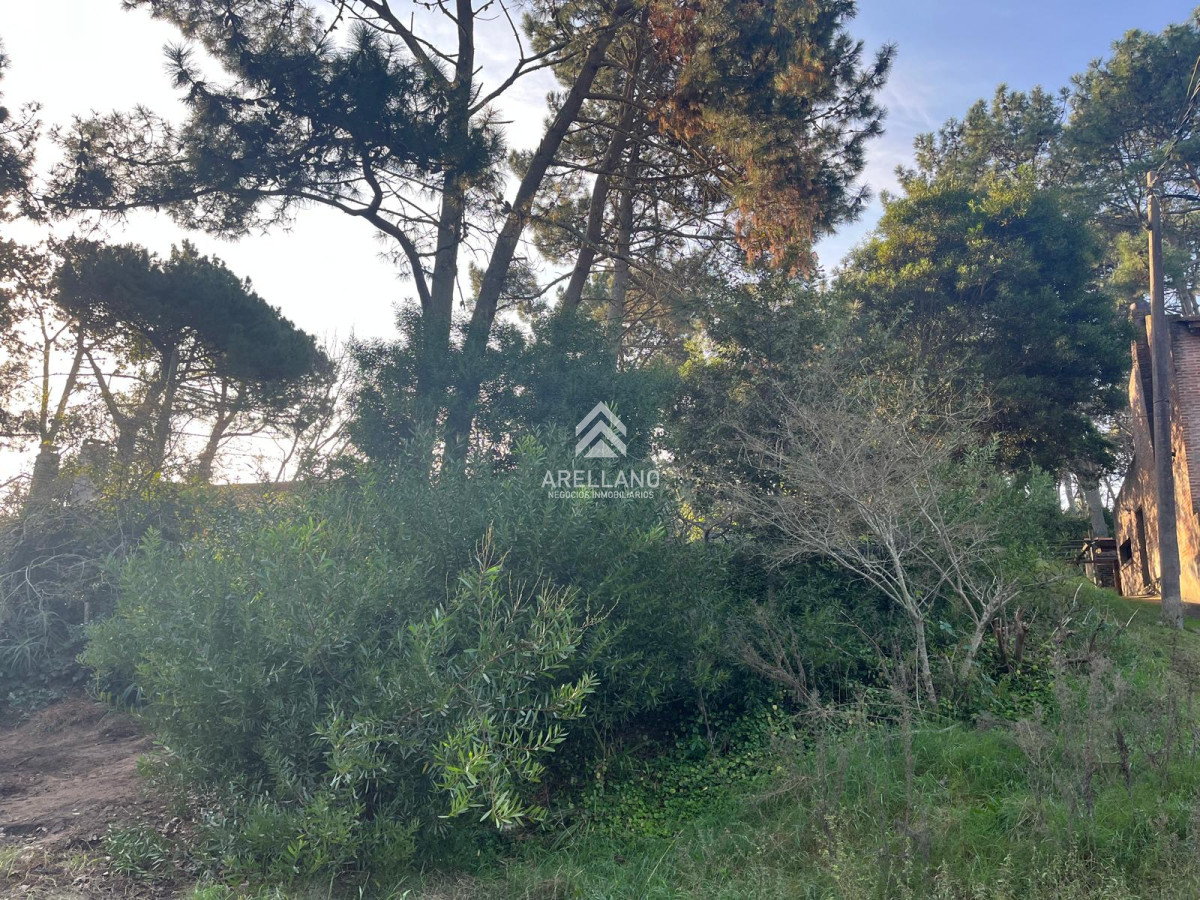 Terreno ID.5615 - Lindo lote en venta en Pinares apto para Propiedad Horizontal