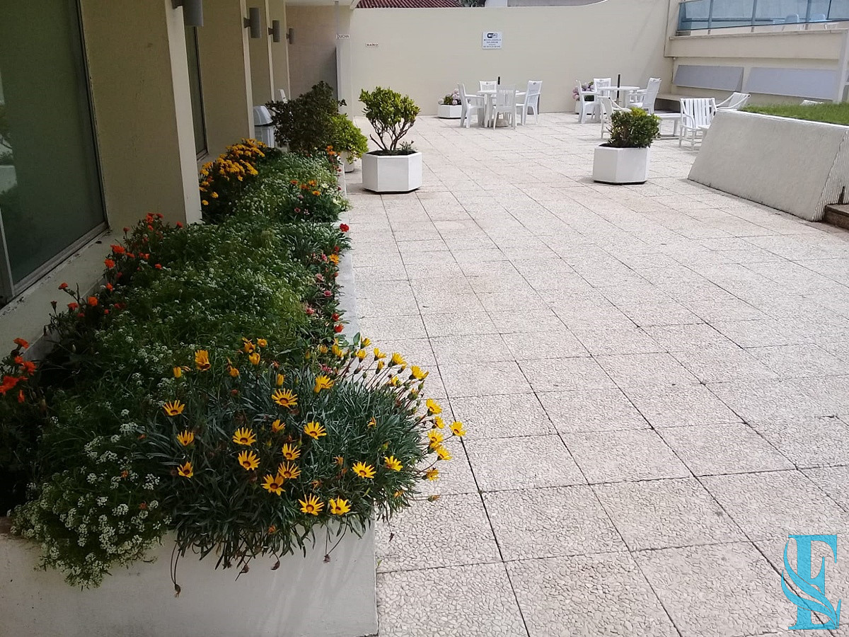 Apartamento ID.350 - Apartamento en la Península 2 dormitorios con garage