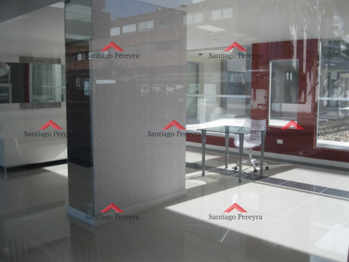 Apartamento ID.15010 - Apartamento en Península 1 dormitorio con garage