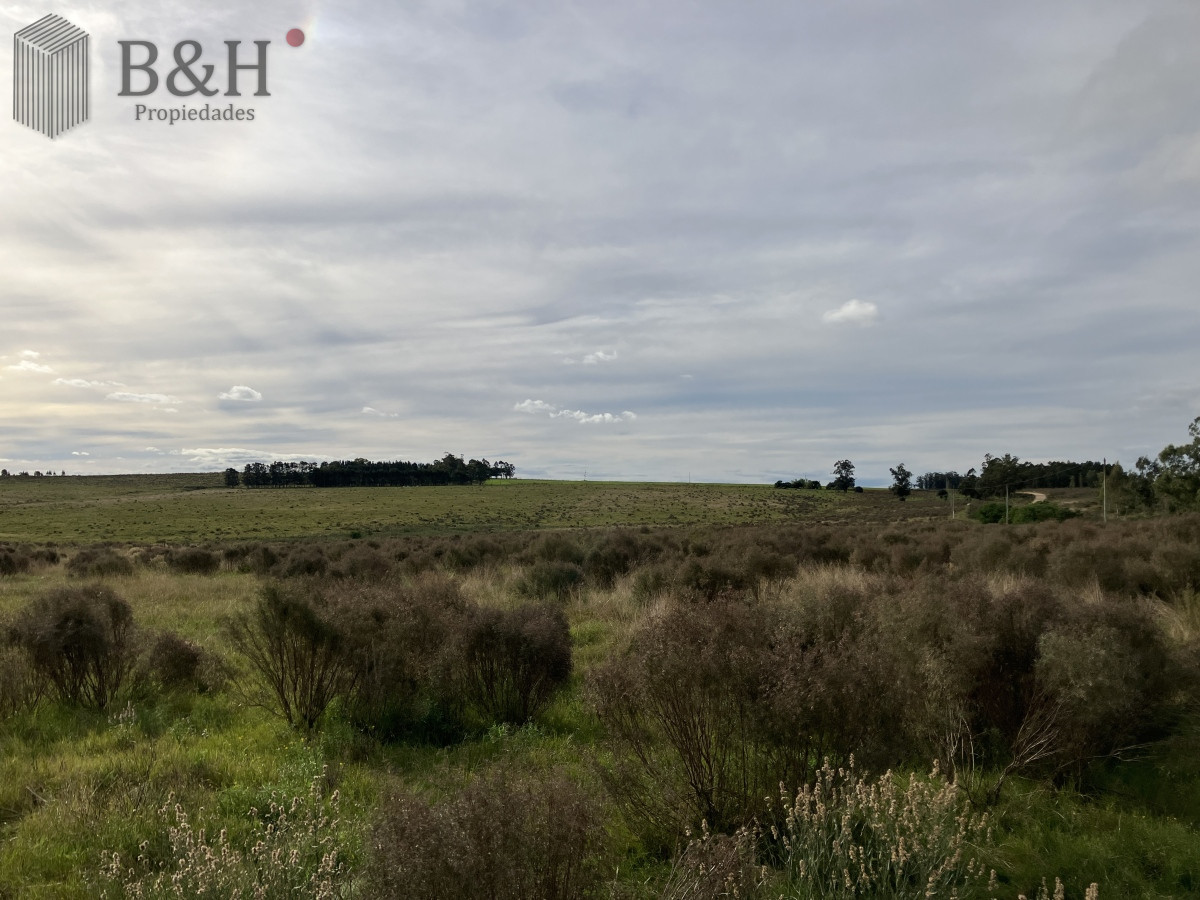 Zona Rural - GoPunta - Portal Inmobiliario de Punta del Este - Maldonado