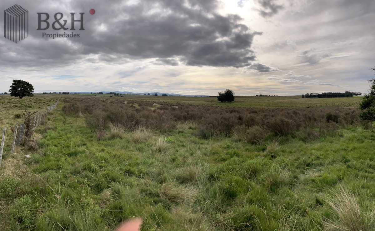 Zona Rural - GoPunta - Portal Inmobiliario de Punta del Este - Maldonado