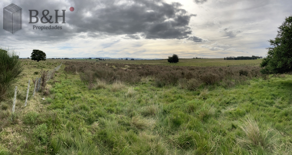 Zona Rural - GoPunta - Portal Inmobiliario de Punta del Este - Maldonado