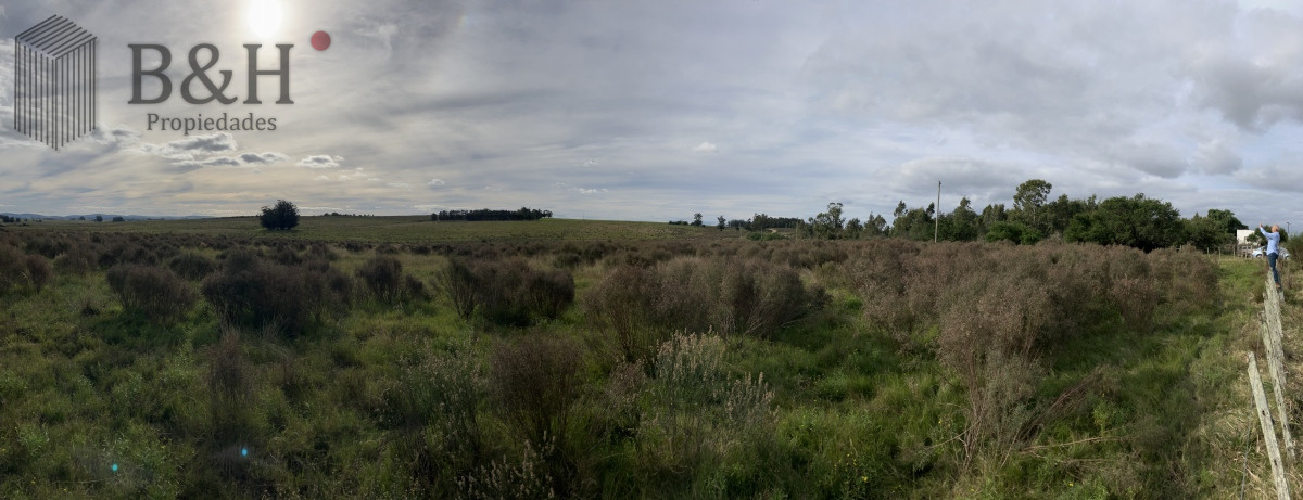 Zona Rural - GoPunta - Portal Inmobiliario de Punta del Este - Maldonado
