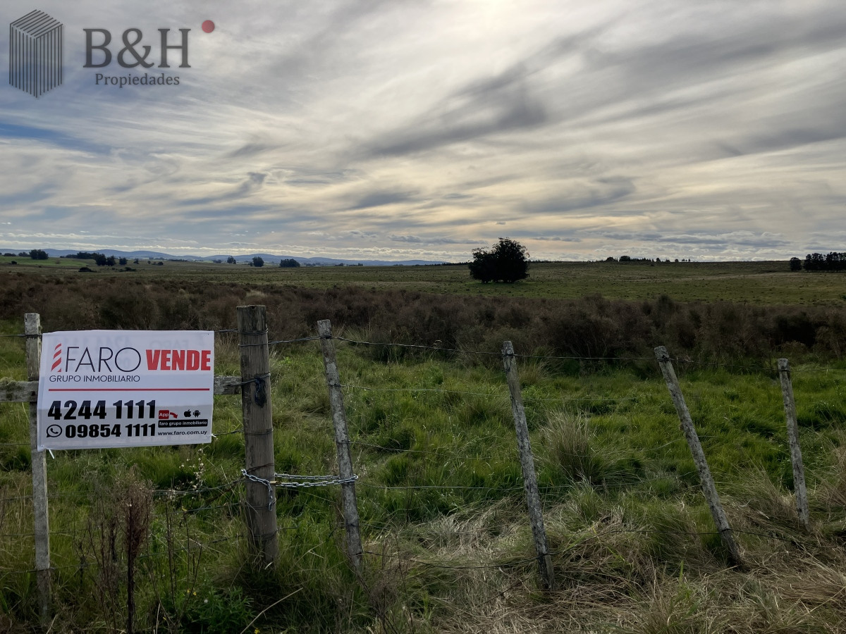 Zona Rural - GoPunta - Portal Inmobiliario de Punta del Este - Maldonado