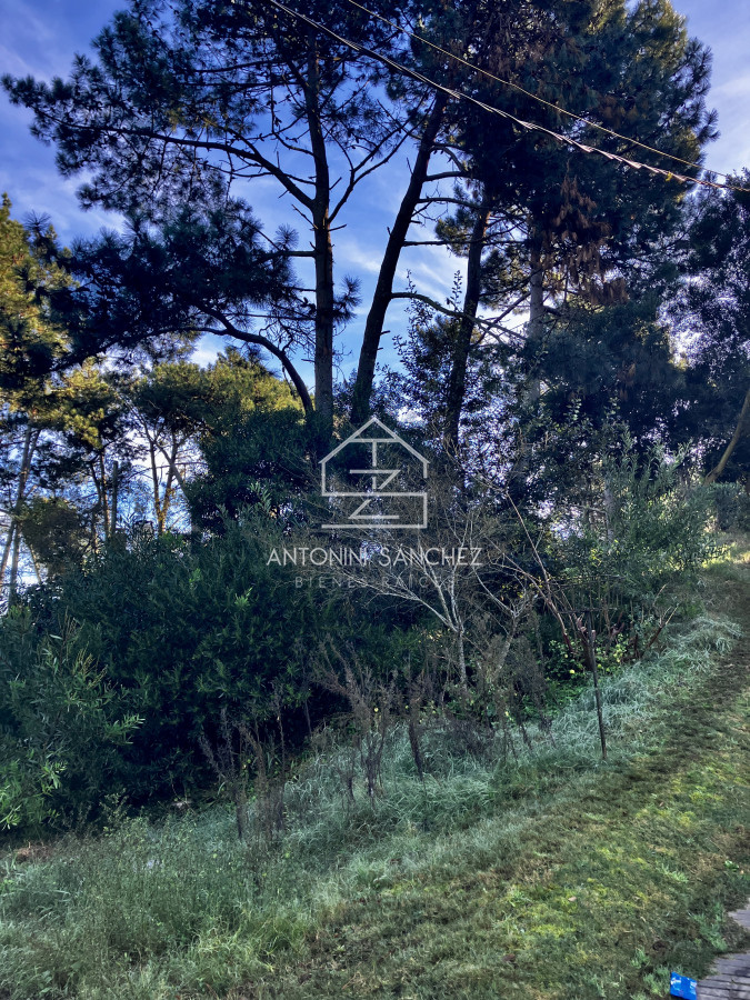 Terreno ID.2926 - Lindo lote en venta en Pinares apto para Propiedad Horizontal