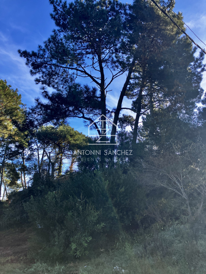 Terreno ID.2926 - Lindo lote en venta en Pinares apto para Propiedad Horizontal