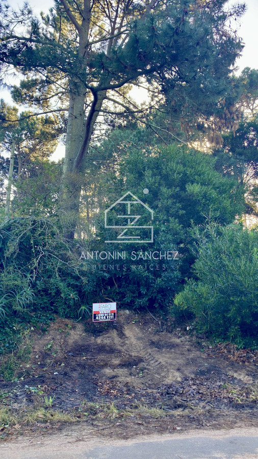 Terreno ID.2926 - Lindo lote en venta en Pinares apto para Propiedad Horizontal